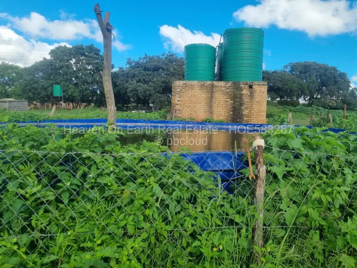 Farm/Plot for Sale in Masvingo, Masvingo