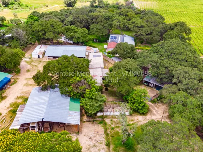 Farm/Plot for Sale in Ruwa, Ruwa