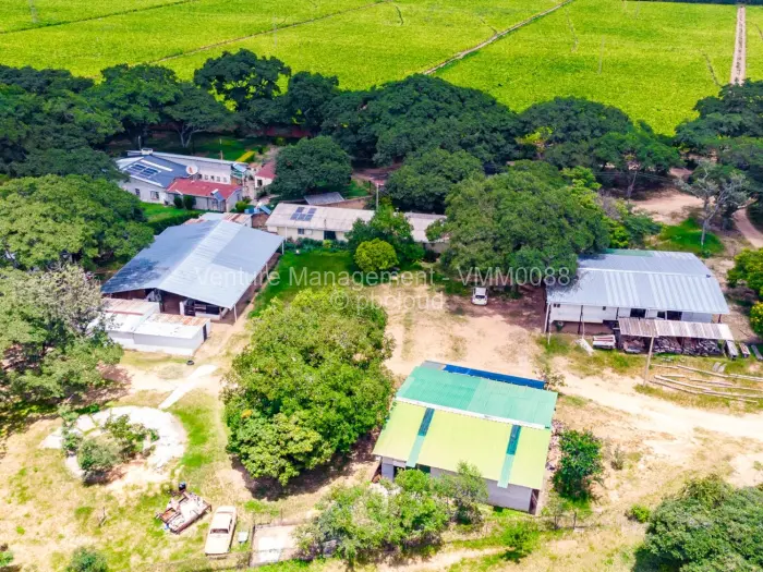 Farm/Plot for Sale in Ruwa, Ruwa