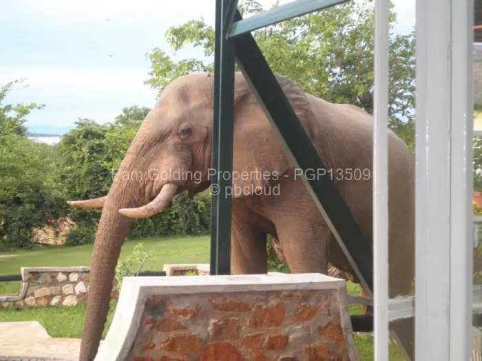 4 Bedroom House for Sale in Kariba, Kariba