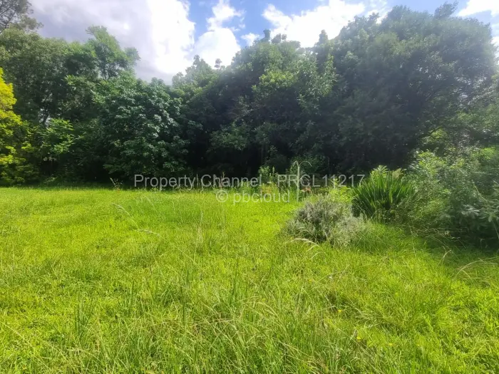 Residential Stand for Sale in Borrowdale Brooke, Harare