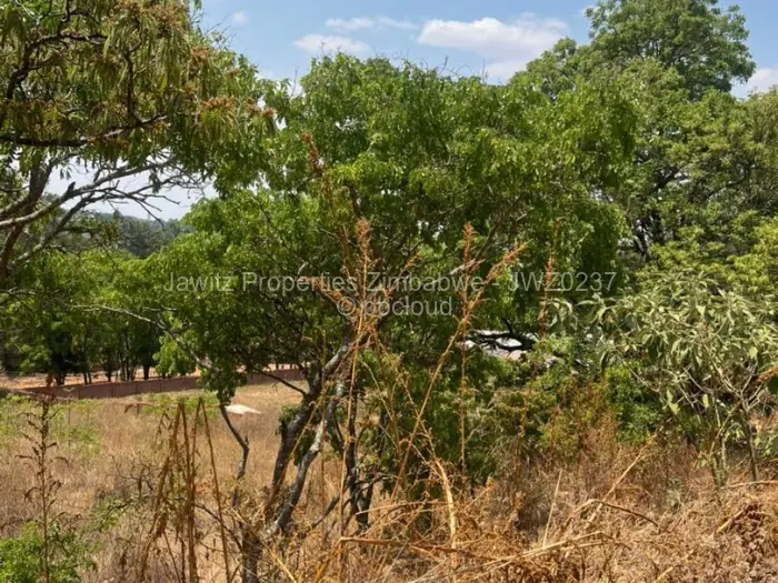 Commercial Stand for Sale in Umwinsidale, Harare