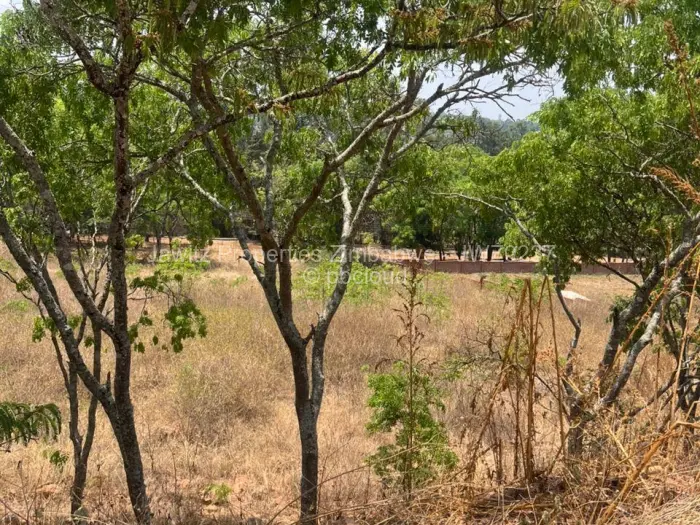 Commercial Stand for Sale in Umwinsidale, Harare