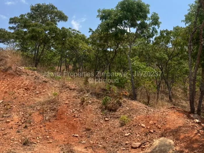 Commercial Stand for Sale in Umwinsidale, Harare