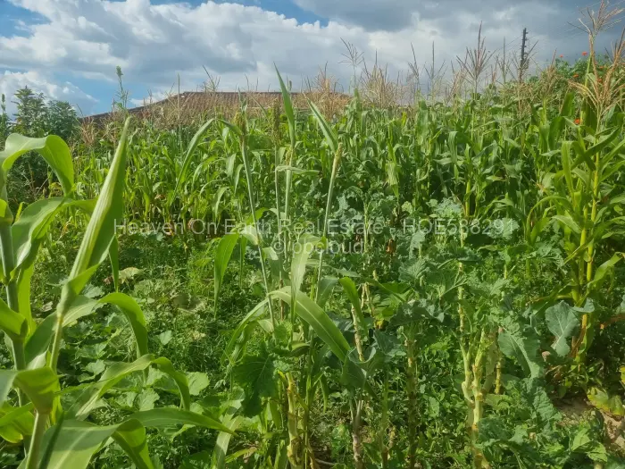 Residential Stand for Sale in Granary Park, Harare