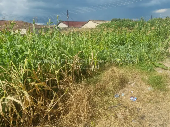 Residential Stand for Sale in Granary Park, Harare