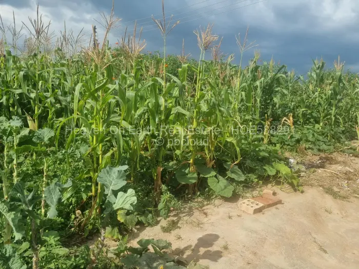 Residential Stand for Sale in Granary Park, Harare