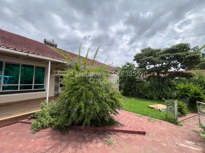 Flat/Apartment to Rent in Avondale