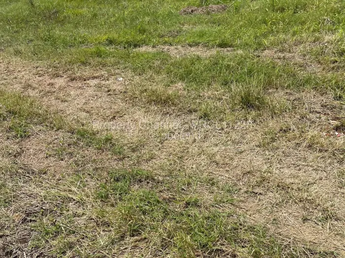 Residential Stand for Sale in Fairview, Harare