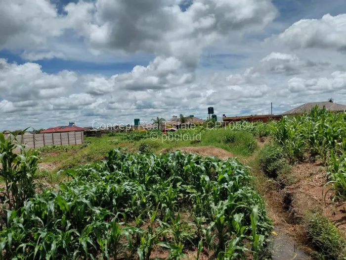 Residential Stand for Sale in Sandton Park, Harare