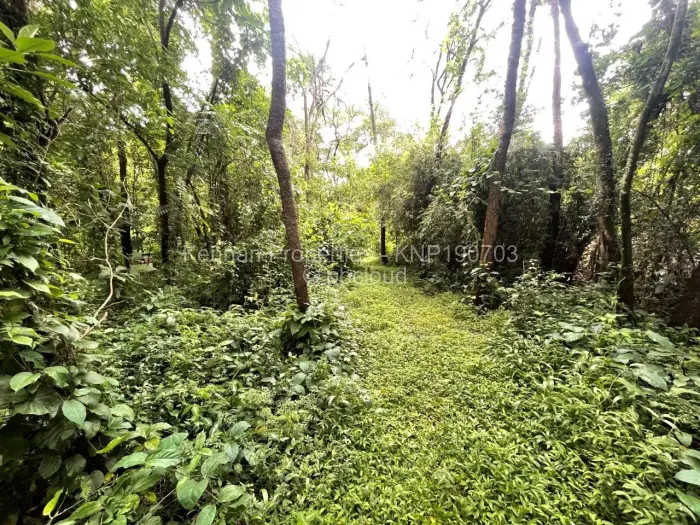 4 Bedroom House for Sale in Ballantyne Park, Harare