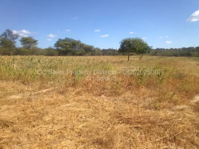 Farm/Plot for Sale in Gumtree, Bulawayo