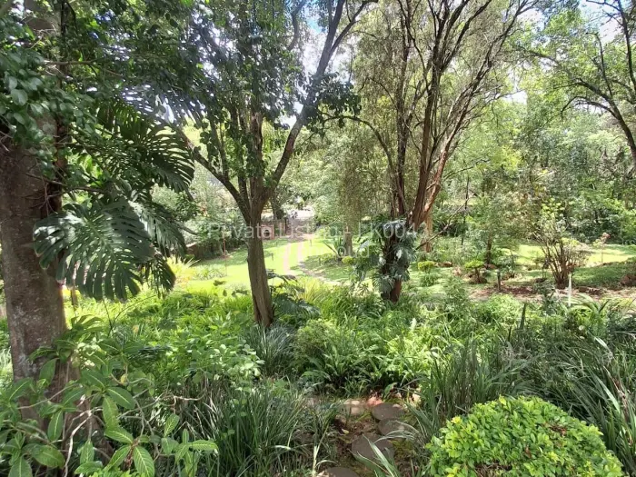 4 Bedroom House to Rent in Glen Lorne