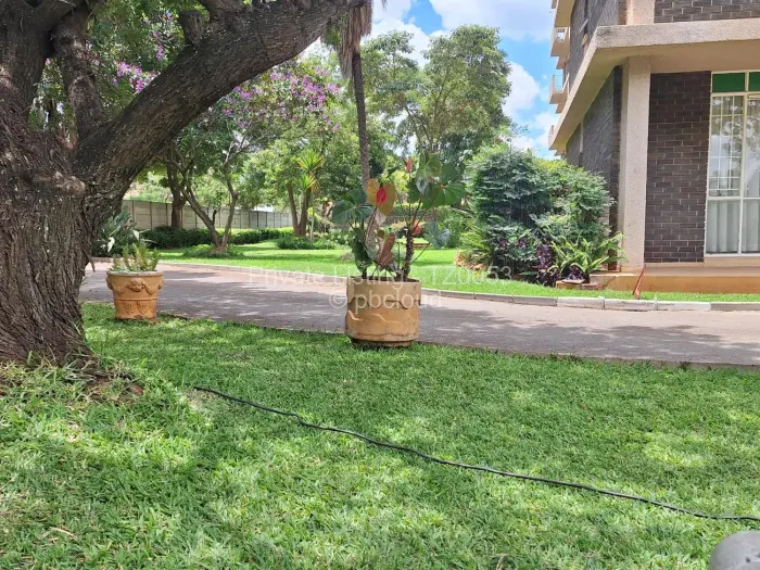 Flat/Apartment to Rent in Avenues