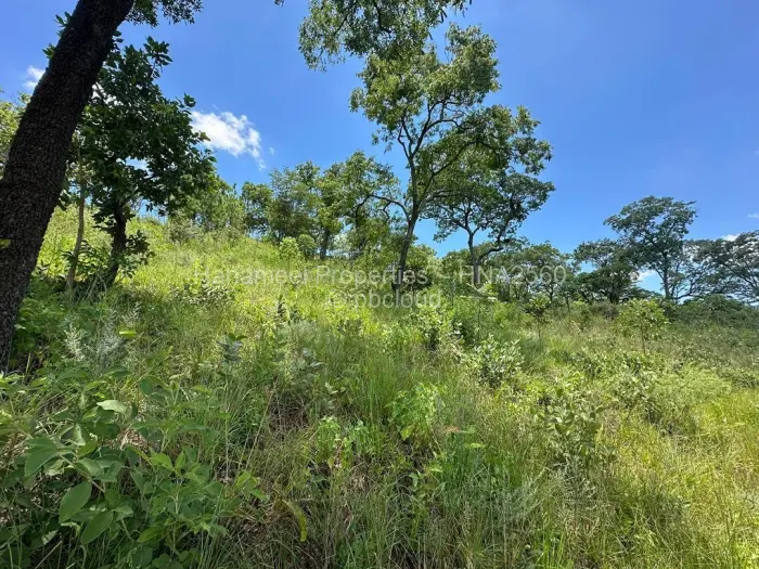 Residential Stand for Sale in Carrick Creagh Estate, Harare