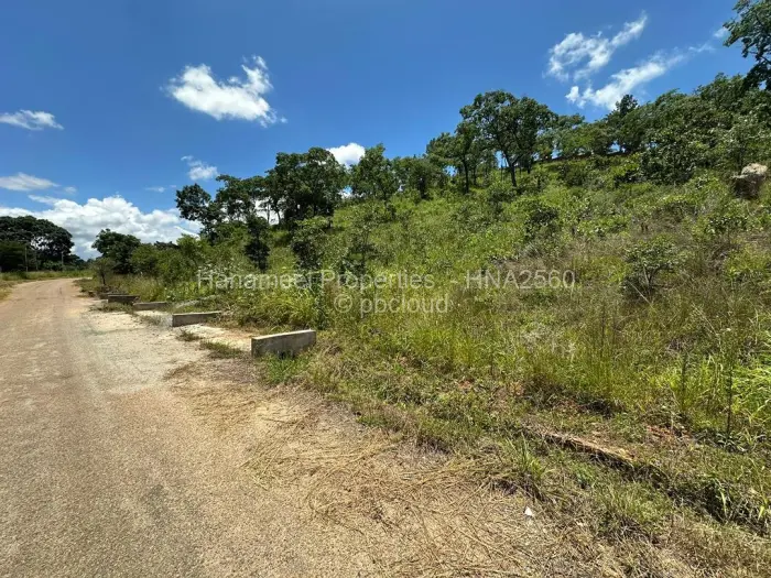 Residential Stand for Sale in Carrick Creagh Estate, Harare