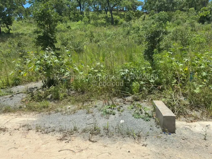 Residential Stand for Sale in Carrick Creagh Estate, Harare