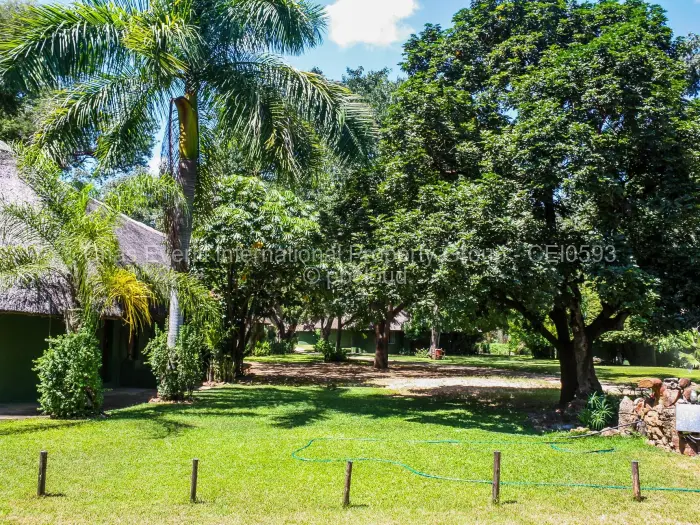 Other Commercial for Sale in Mwenezi, Mwenezi