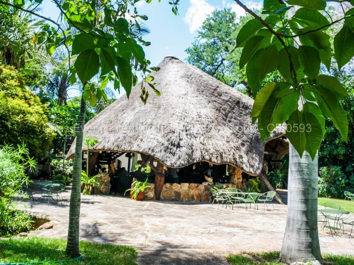 Other Commercial for Sale in Mwenezi, Mwenezi