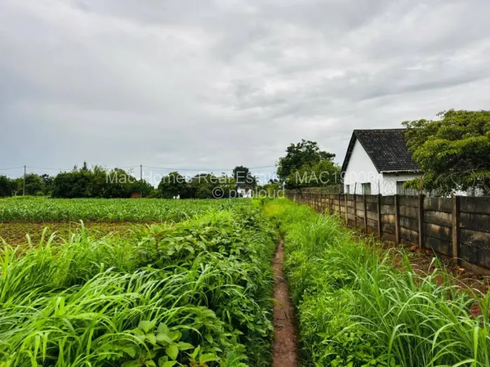 Residential Stand for Sale in Norton, Norton