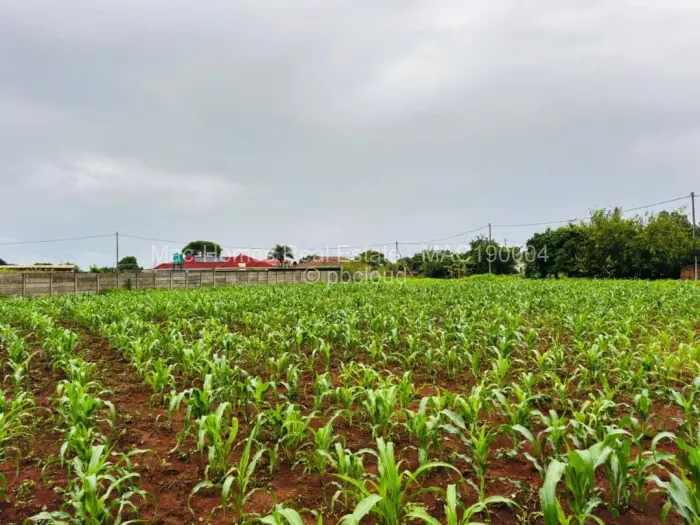 Residential Stand for Sale in Norton, Norton