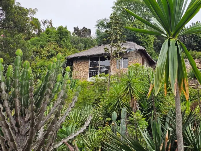 4 Bedroom House for Sale in Hillside Byo, Bulawayo