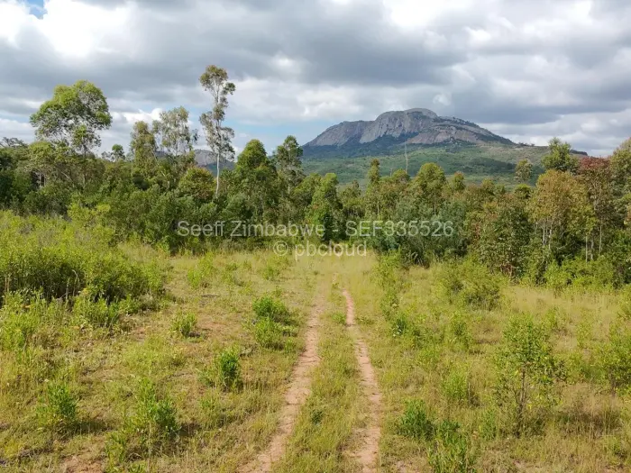 Residential Stand for Sale in Nyanga, Nyanga