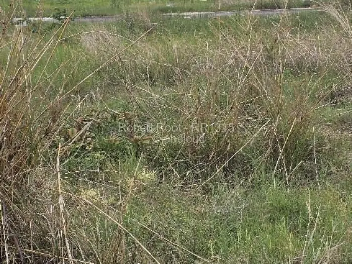 Residential Stand for Sale in Nyabira, Zvimba