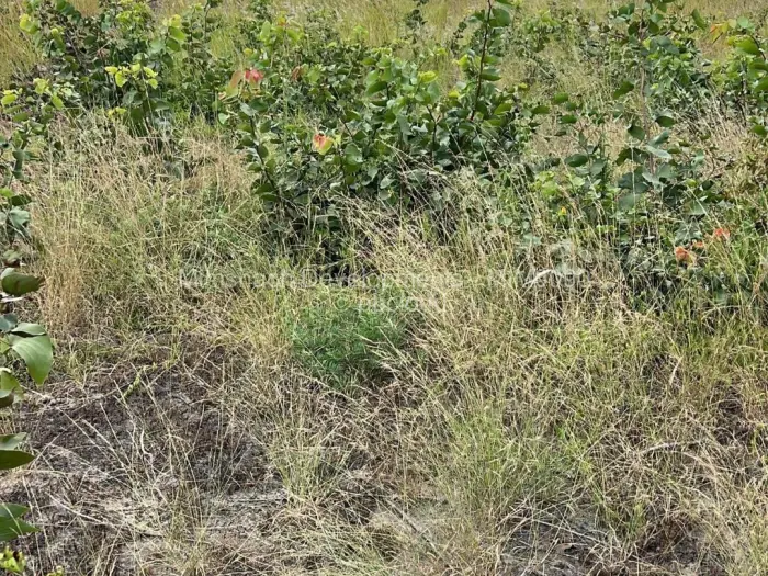 Commercial Stand for Sale in Kwekwe, Kwekwe