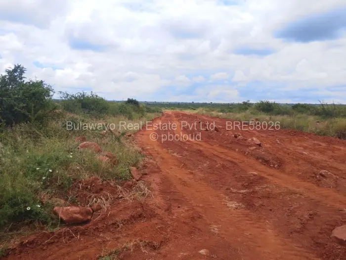 Residential Stand for Sale in Emganwini, Bulawayo