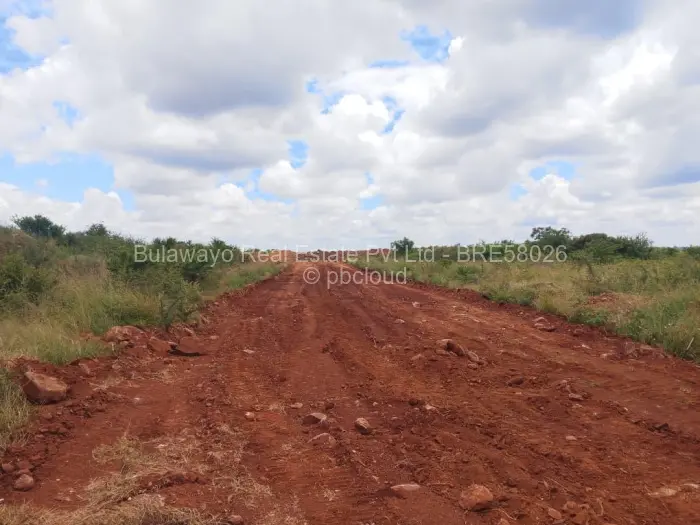 Residential Stand for Sale in Emganwini, Bulawayo