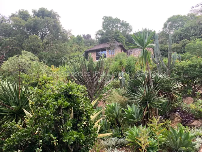 4 Bedroom House for Sale in Burnside, Bulawayo