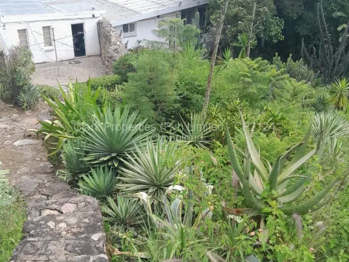 4 Bedroom House for Sale in Burnside, Bulawayo