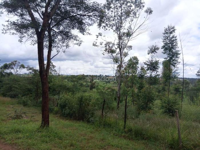 Farm/Plot for Sale in Glen Forest, Harare