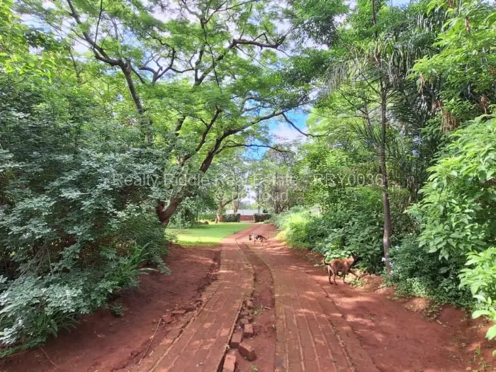 Residential Stand for Sale in Emerald Hill, Harare