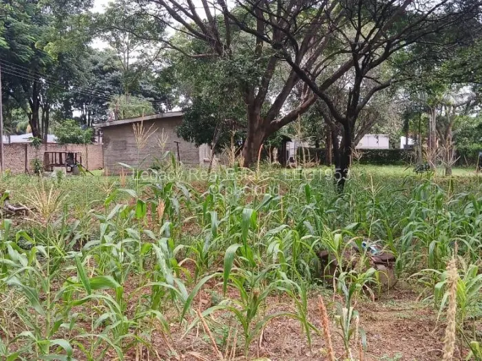 2 Bedroom House for Sale in Chiredzi, Chiredzi