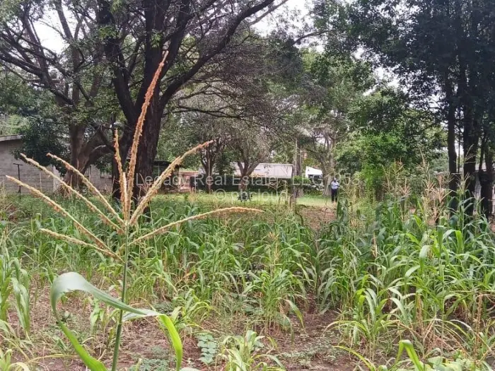 2 Bedroom House for Sale in Chiredzi, Chiredzi