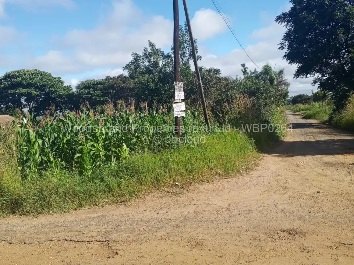 Residential Stand for Sale in Springvale, Ruwa