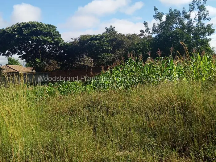 Residential Stand for Sale in Springvale, Ruwa