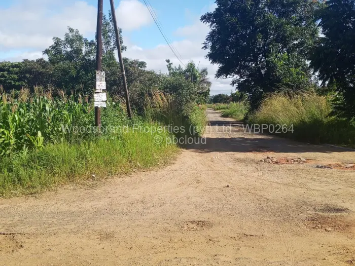 Residential Stand for Sale in Springvale, Ruwa