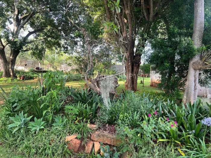 4 Bedroom House for Sale in Umwinsidale, Harare