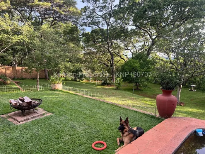 4 Bedroom House for Sale in Umwinsidale, Harare