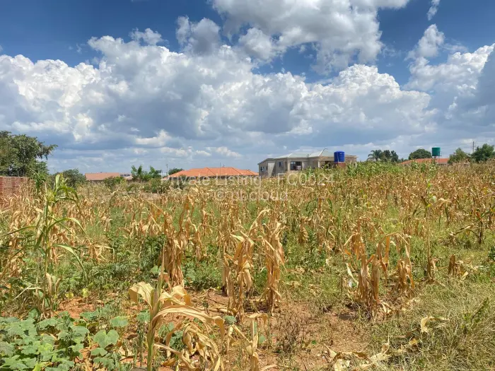 Residential Stand for Sale in Zimre Park, Harare