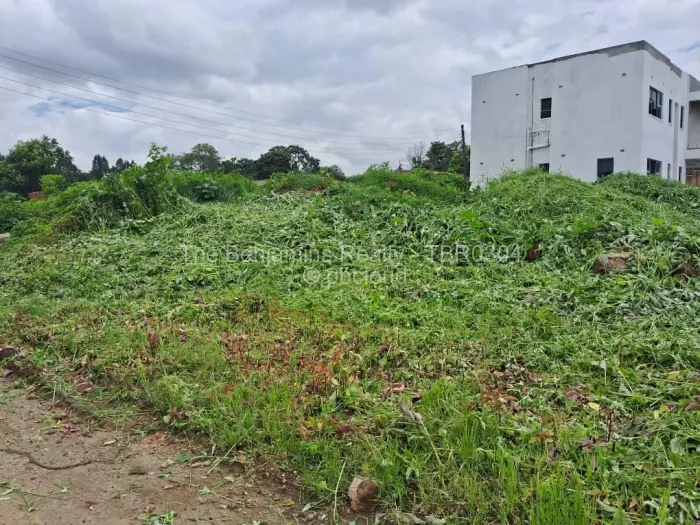 Residential Stand for Sale in Quinnington, Harare