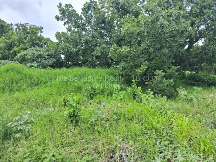 Residential Stand for Sale in Quinnington, Harare
