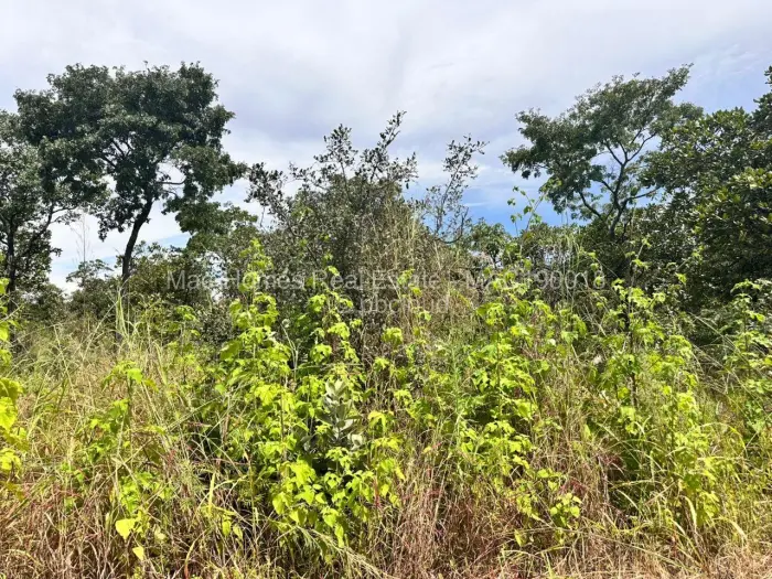 Residential Stand for Sale in Carrick Creagh Estate, Harare