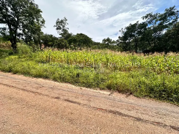 Residential Stand for Sale in Carrick Creagh Estate, Harare