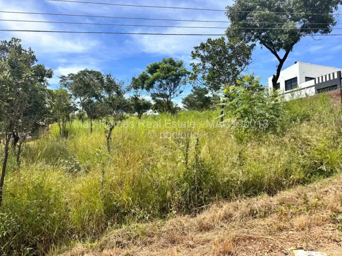 Residential Stand for Sale in Carrick Creagh Estate, Harare