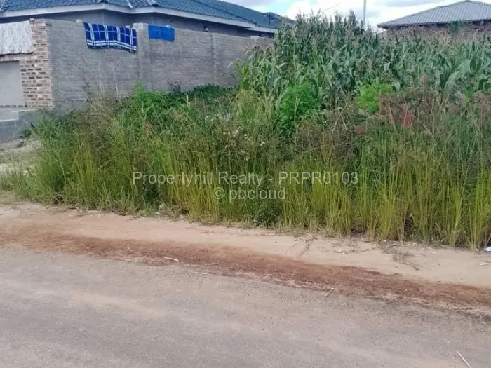 Residential Stand for Sale in Adelaide Park, Harare