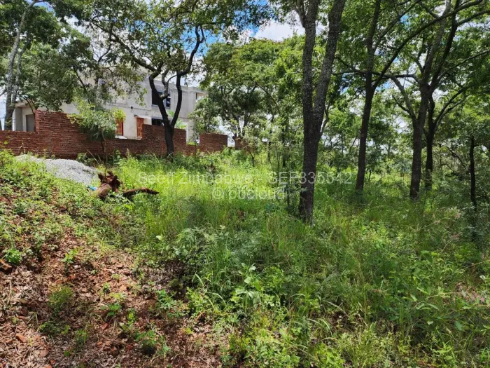 Residential Stand for Sale in Shawasha Hills, Harare